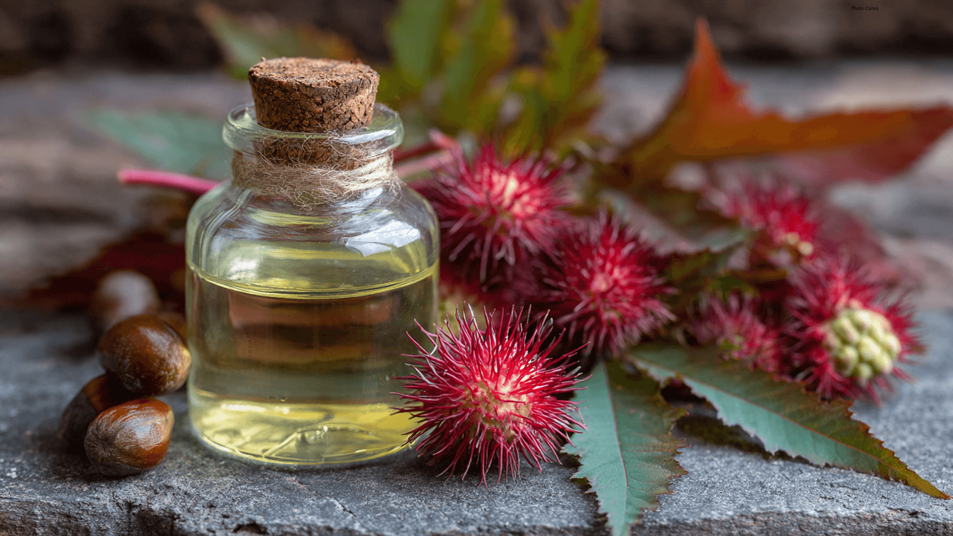 castor oil packs for fertility